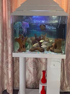 Fish Aquarium new condition