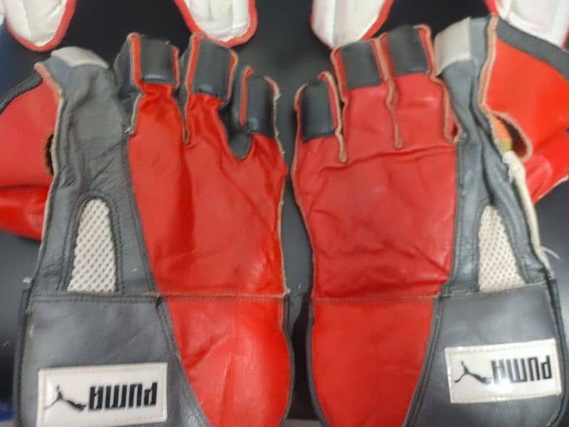 FOR SALE: Lightly Used Cricket Gear – Helmets, Gloves & More 1