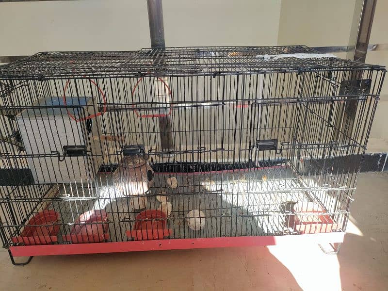 Lovebirds Slightly Used Cage for sale 1