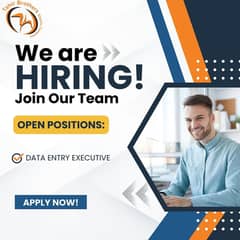 Data Entry Executive