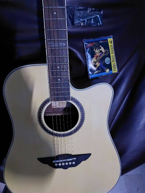 Acoustic Guitar JM Forest Berlin Mahogany Wood Jumbo Size 22 Frats Pro 2