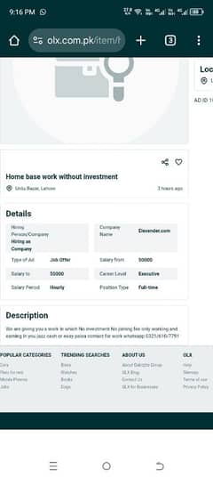 Home base work without investment