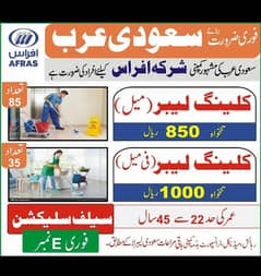 male female cleaner required