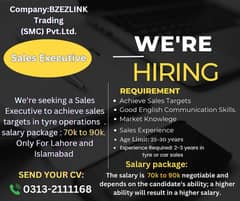 Sales Executive