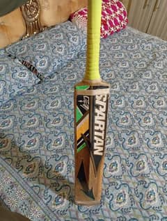 SPARTAN HARD BALL CRICKET BAT