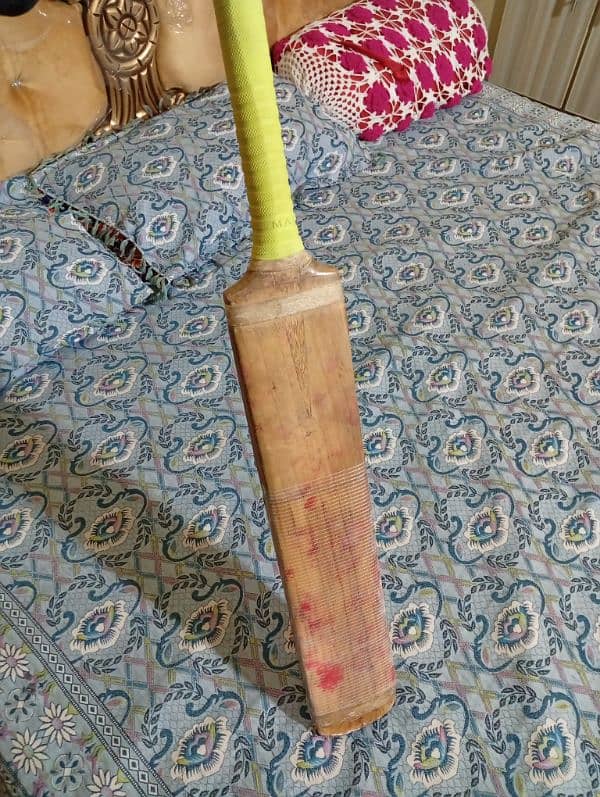 SPARTAN HARD BALL CRICKET BAT 1