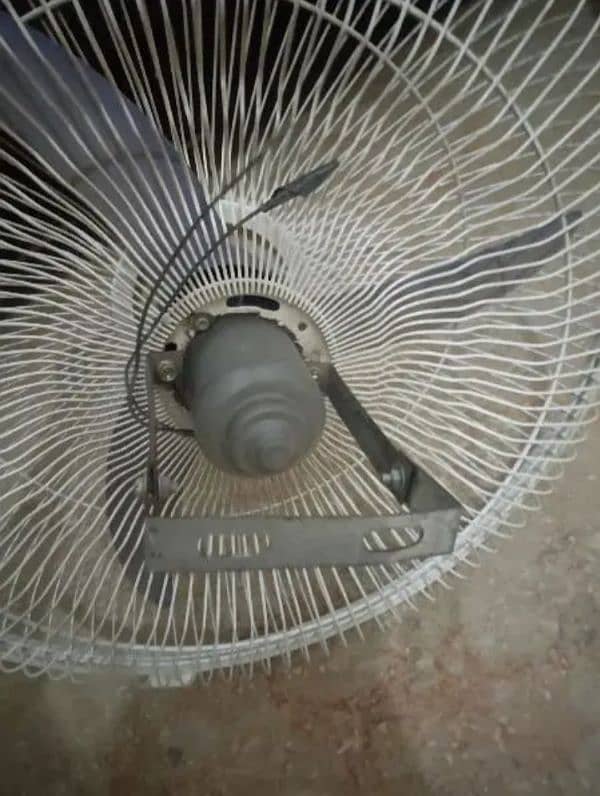 Pak Fan For Sale 2