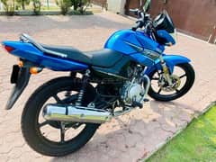 bike in good condition. . . no work required just buy  drive. . 03105490075