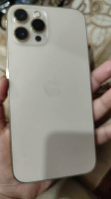 i phone 12 pro max colour golden non pta 0