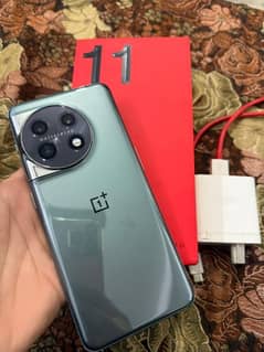 Oneplus 11