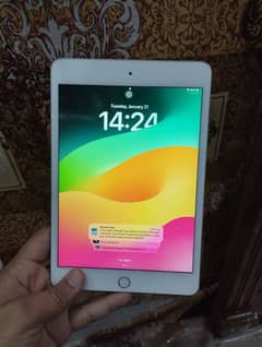 i pad mini 5 like a new condition