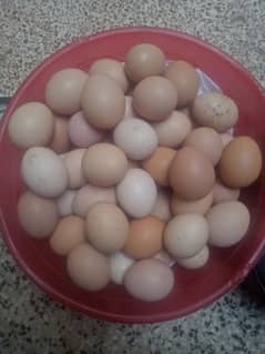 Desi hen eggs | Desi anday | Ghar ki Desi murgi