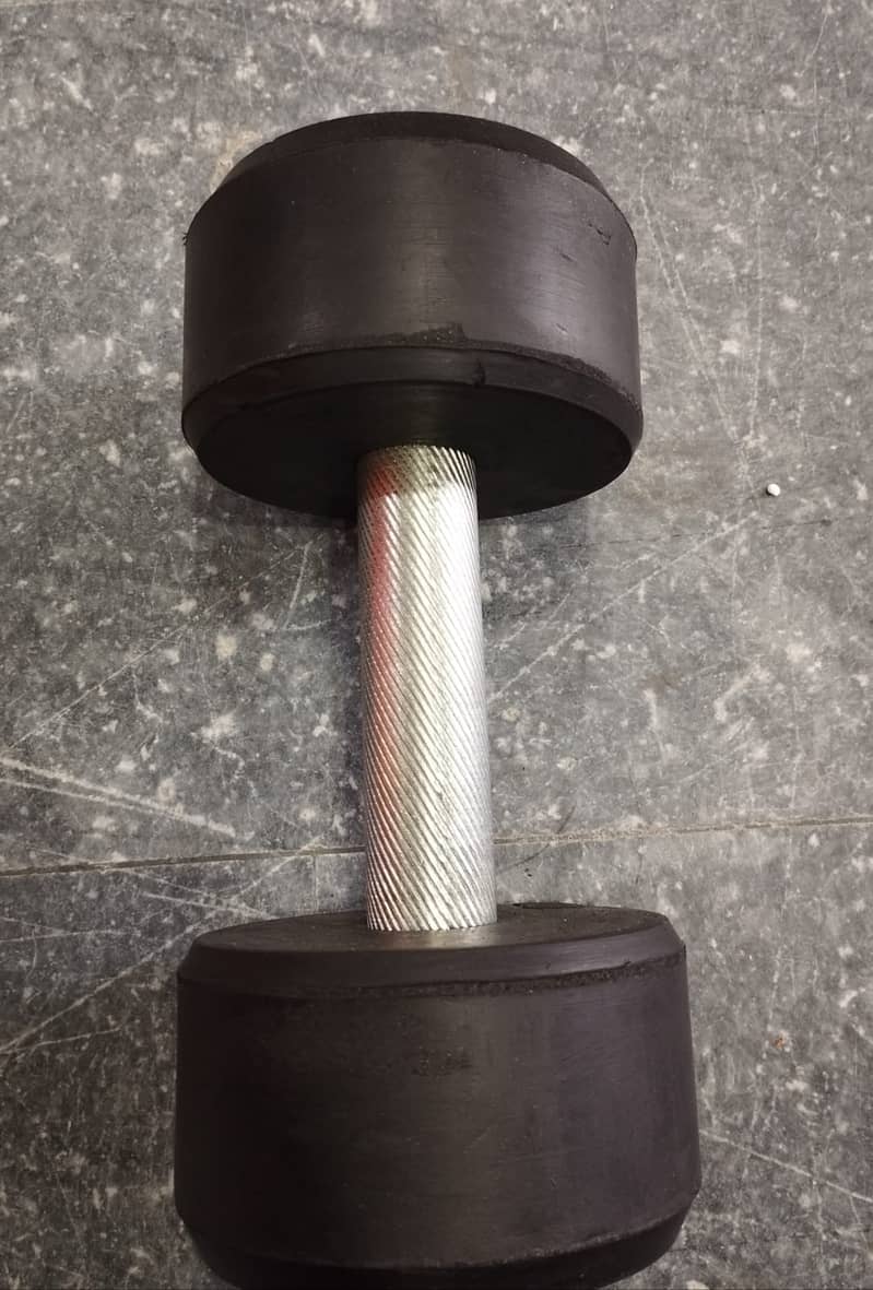 Dumbbells 250 Per KG 2