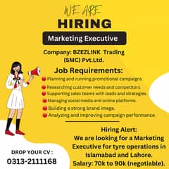 Marketing Executive