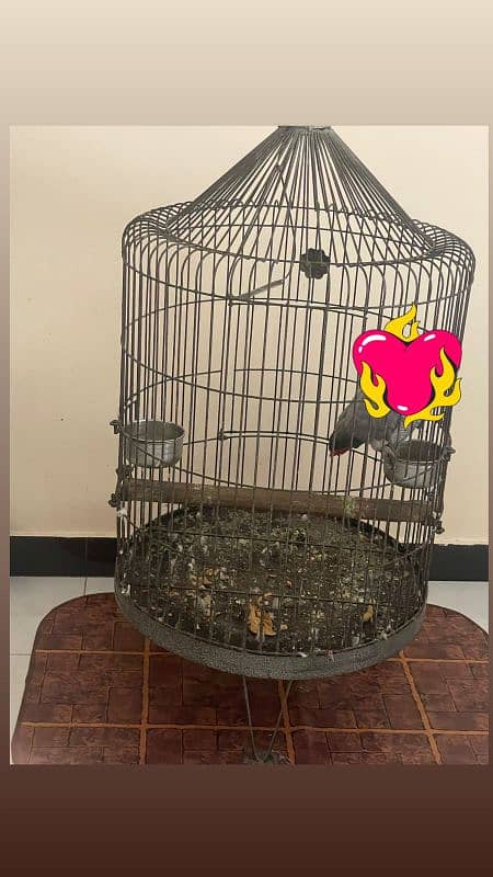 heavy iron cage for parrot 7000 rs 1