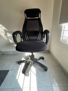 Exucutive Office Chair