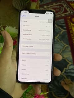 iphone 11 pro max pta approve