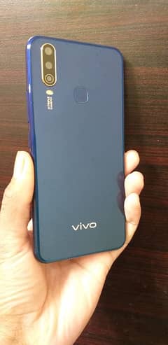 vivo