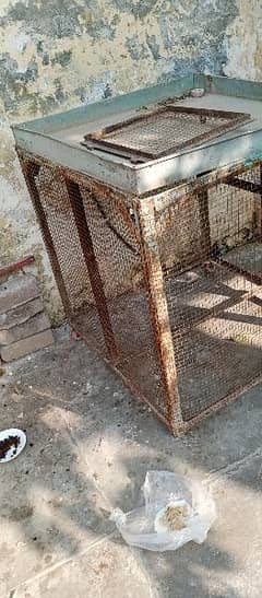 Hens Steal Cage for sale 31 kg