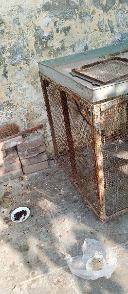 Hens Steal Cage for sale 31 kg 1