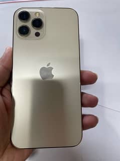 iphone 12promax 128gb golden Dual sim Pta approved