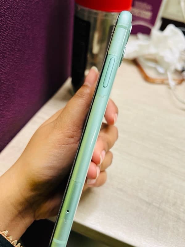 Iphone 11 - PTA approved 2