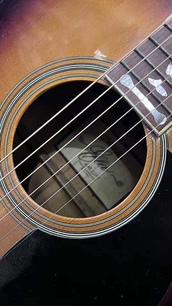 professional Acoustic Guitar 1