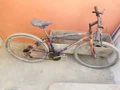 imported cycle