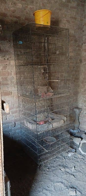 parrot cage Dedh bhai do Char khane wala price 8000 1