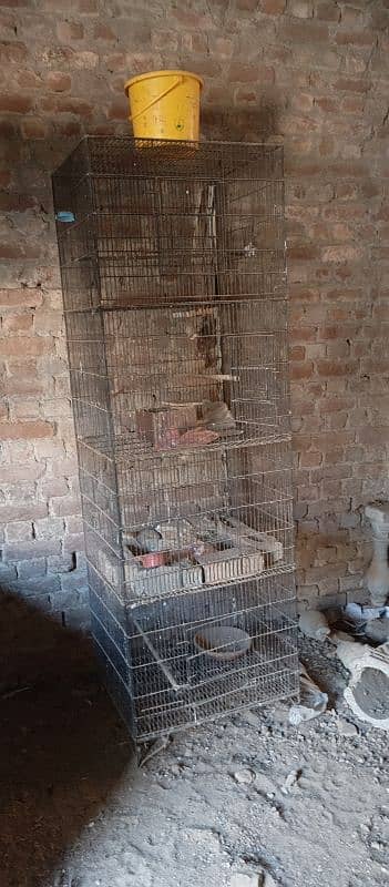 parrot cage Dedh bhai do Char khane wala price 8000 3