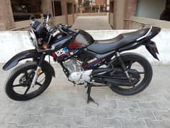 Yamaha YBR 125G model 2022 REG 2024