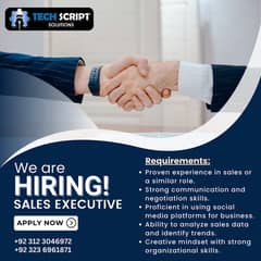 Social Media Sales Executive