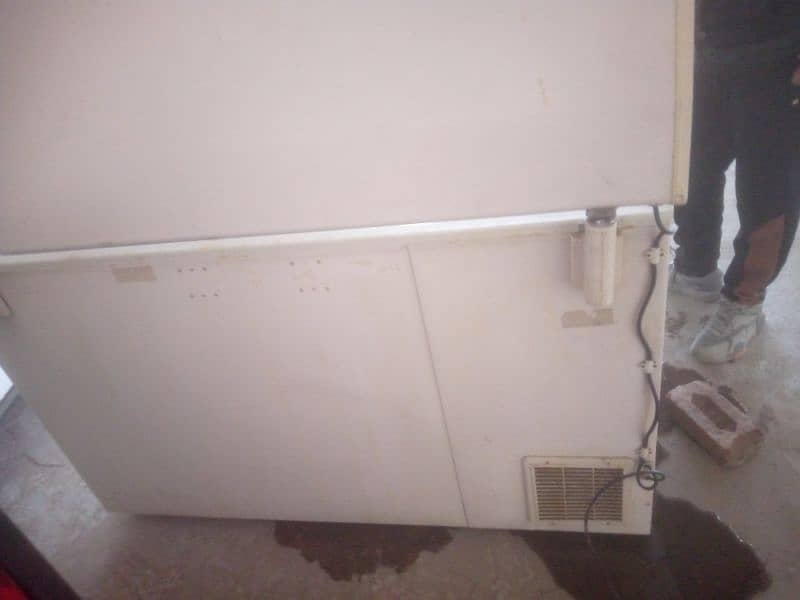 Used Double storage freezer 0