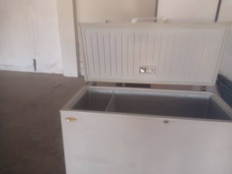 Used Double storage freezer 4