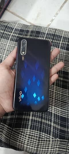 vivo