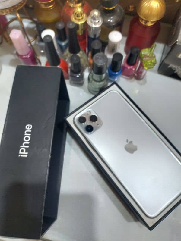 iphone 11 pro Maxx factory 1