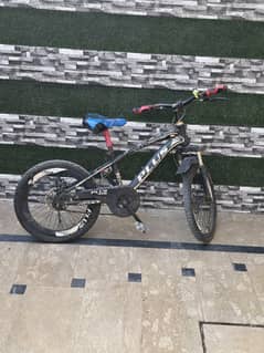 Bicycle for sale