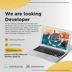 Website Designer, Developer