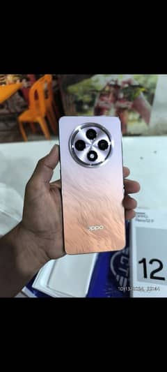 OPPO Reno 12F 8+8/256