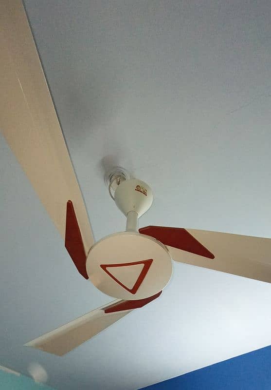 Ceiling Fan 1