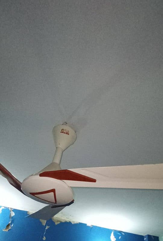 Ceiling Fan 2