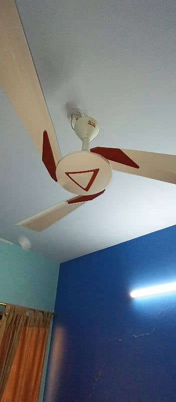 Ceiling Fan 4