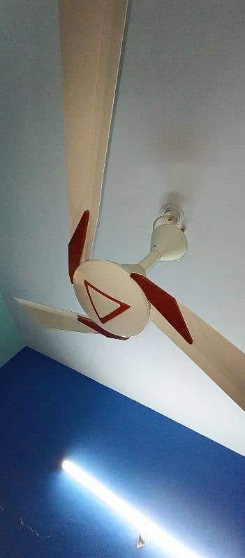 Ceiling Fan 9