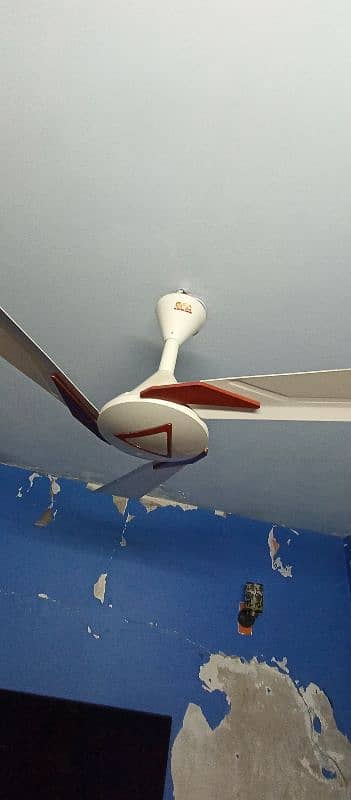 Ceiling Fan 10