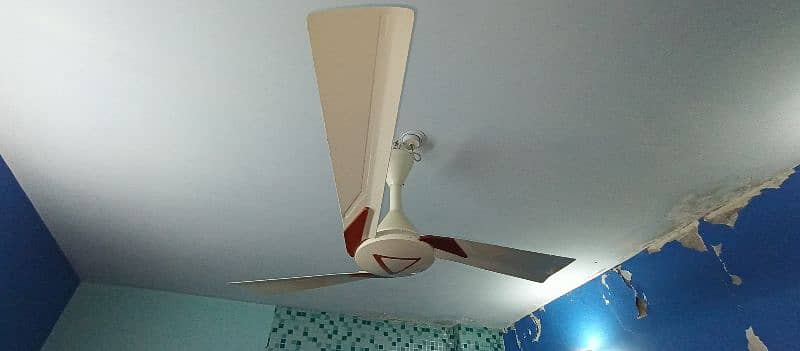 Ceiling Fan 11