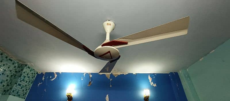 Ceiling Fan 13