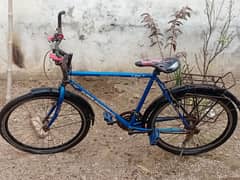 Cycle for sale