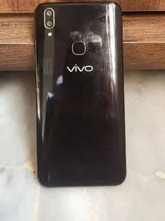 vivo