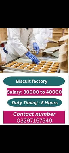 biscuits factory jobs available