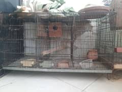 3 khano wal cage